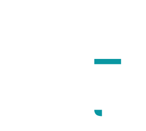 PUBLEG